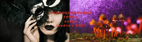 винт Абинск